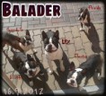 /album/gwendolin/balader-smecka-jpg2/